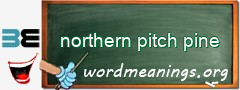 WordMeaning blackboard for northern pitch pine